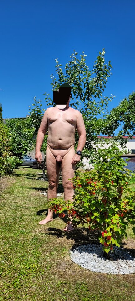 20250614_120105.jpg - Naturysta72