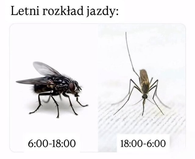 64ccae4b69b1dacf9a08be2d8d2a708c.jpeg - May_Day