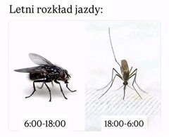 64ccae4b69b1dacf9a08be2d8d2a708c.jpeg