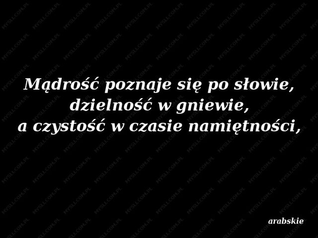 Seksi42