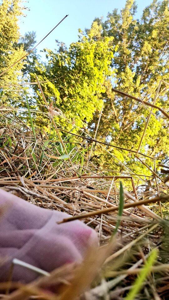 1000020024.jpg - PaulinCiaa