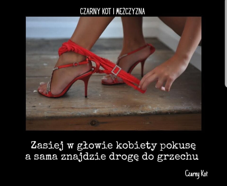 20250615_122838.jpg - wiopio