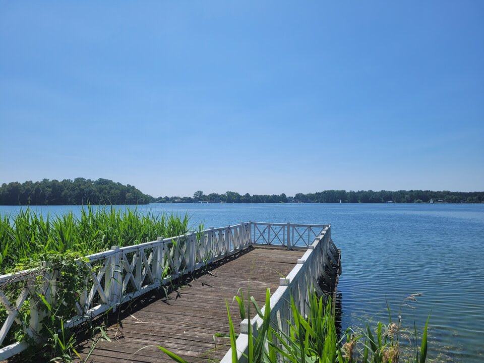 20250615_125217.jpg - Marcin_grzybowice