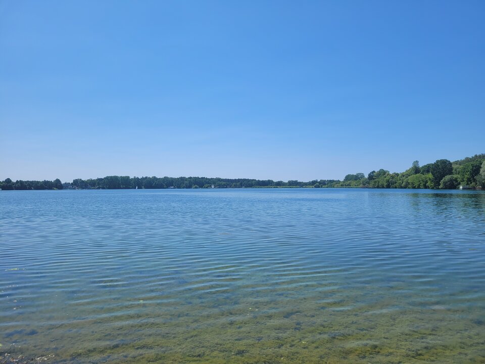 20250615_125132.jpg - Marcin_grzybowice