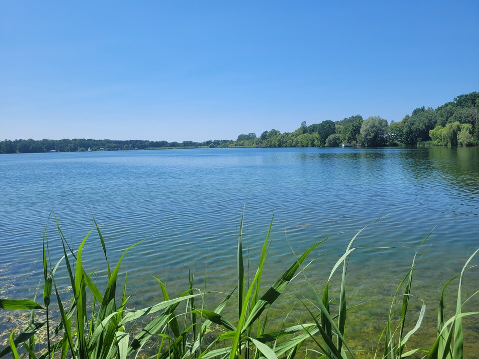 20250615_125228.jpg - Marcin_grzybowice