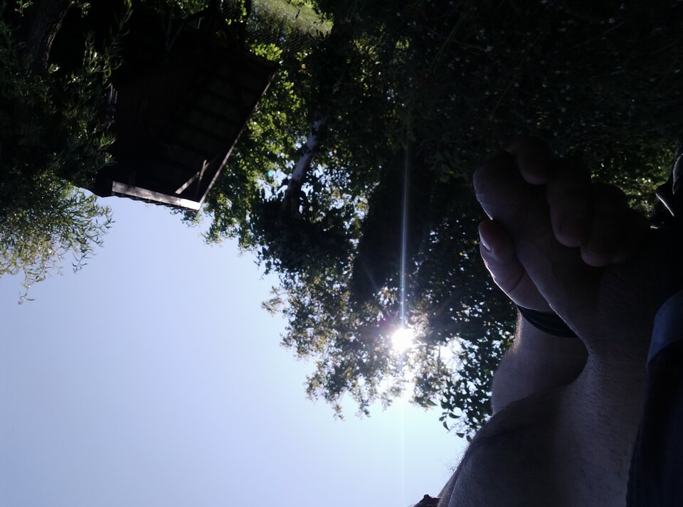 IMG_20250615_162237.jpg - mlody94chetny