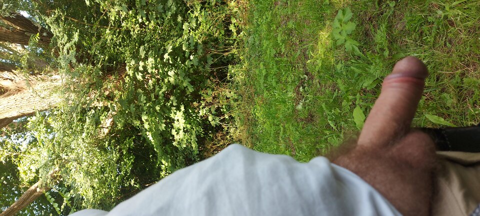 20250615_182233.jpg - lublin81