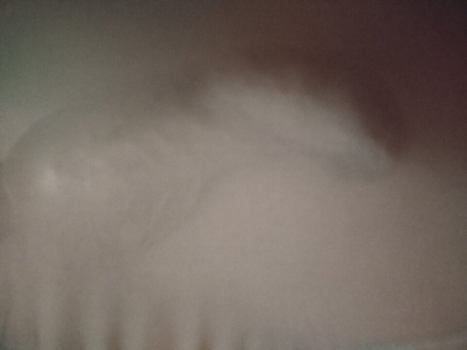 IMG_20250614_122927.jpg - KsiezniczkaIzabela