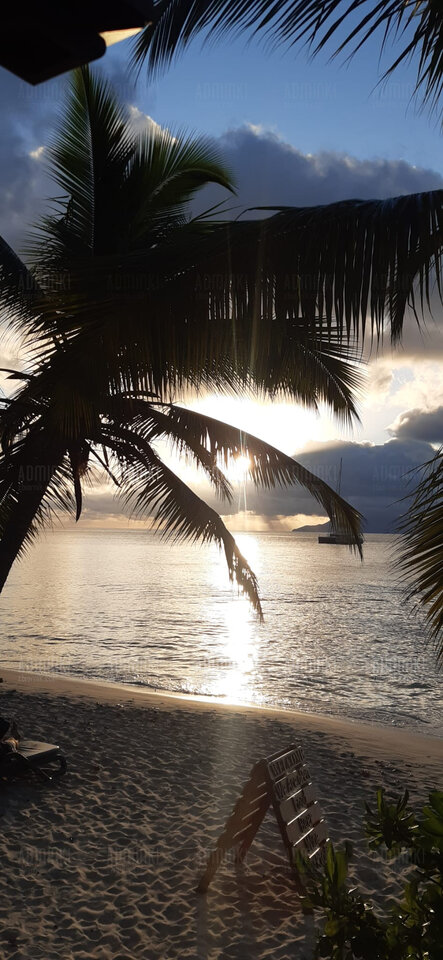 Buenas noches❤️ - Adminki