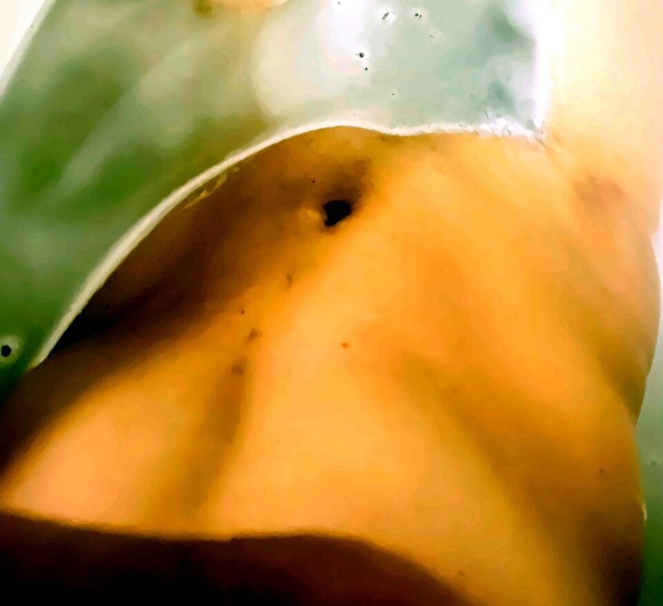 07730de5-1020-45ce-9c1a-c24eb1439f71-1_all_539.jpg - WEEDCHERPL