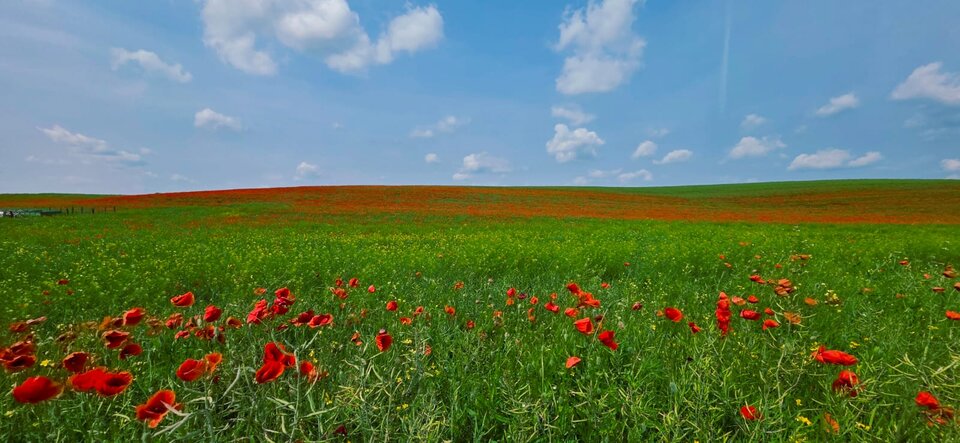 1000067663.jpg - Bartek19855