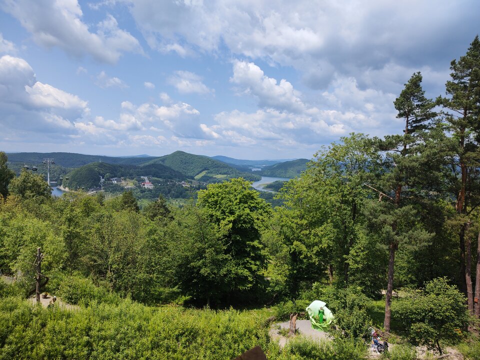 IMG_20250614_122558632.jpg - gryft