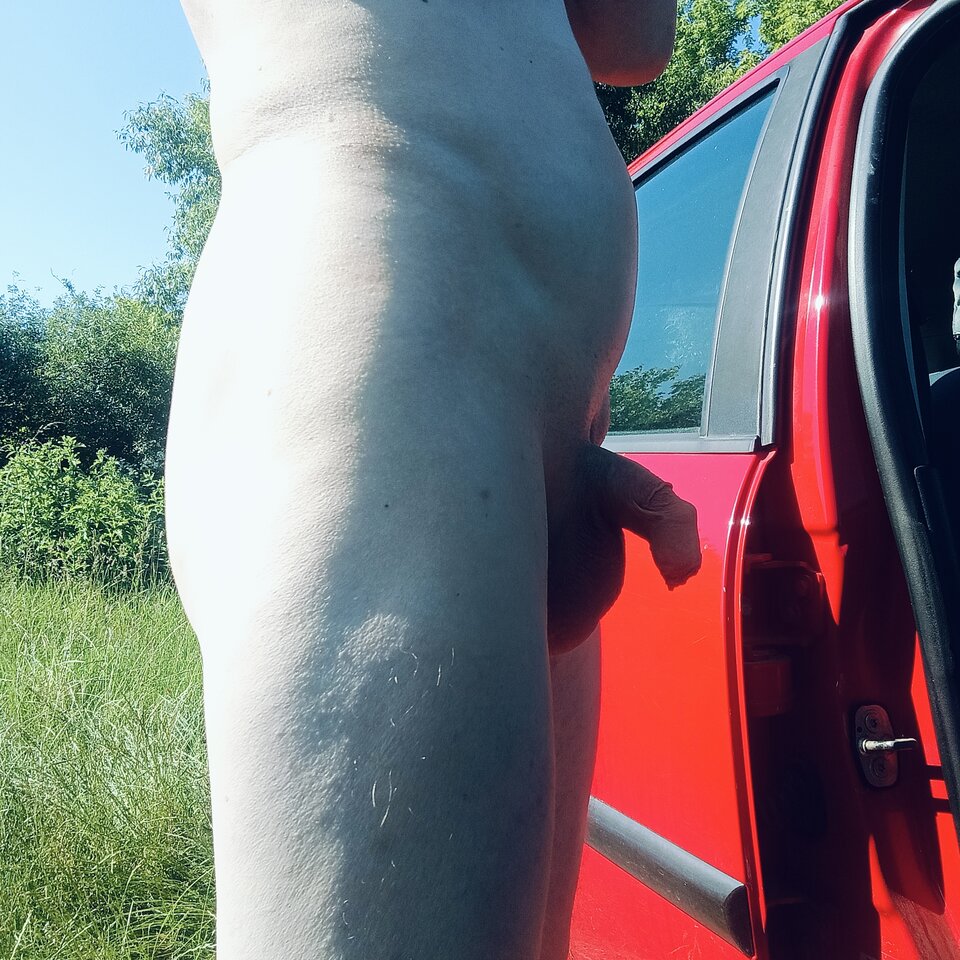 1000003611.jpg - Wszolek