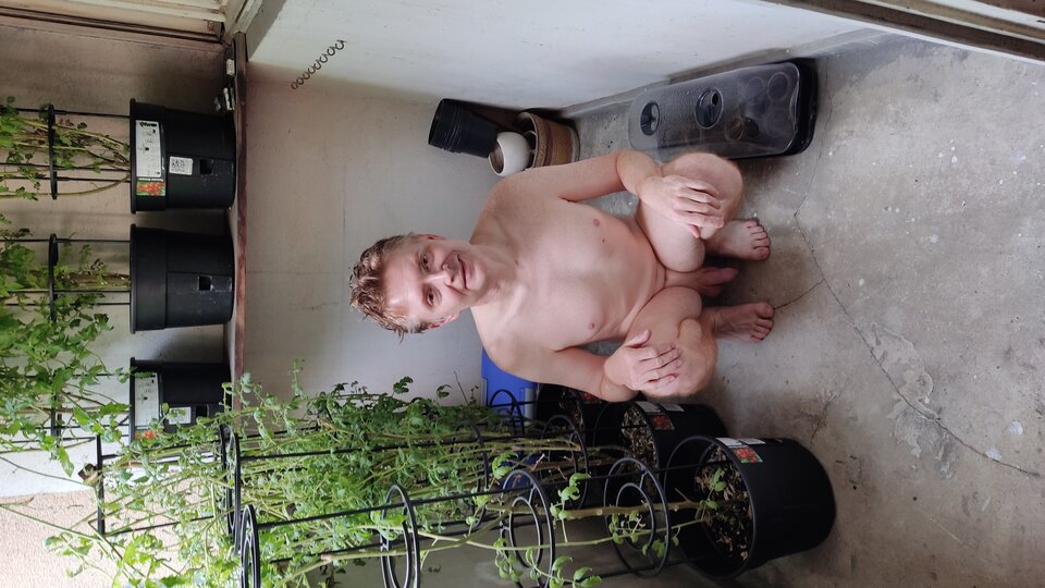 IMG_20250604_172724.jpg - tygrysekl