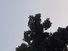 20250616_213348.jpg