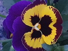 20250616_213501.jpg