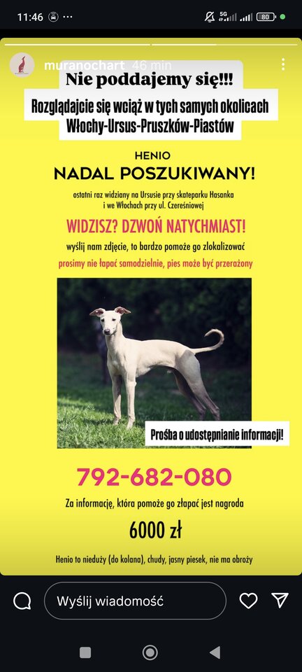 1000004639.jpg - lolekOlk