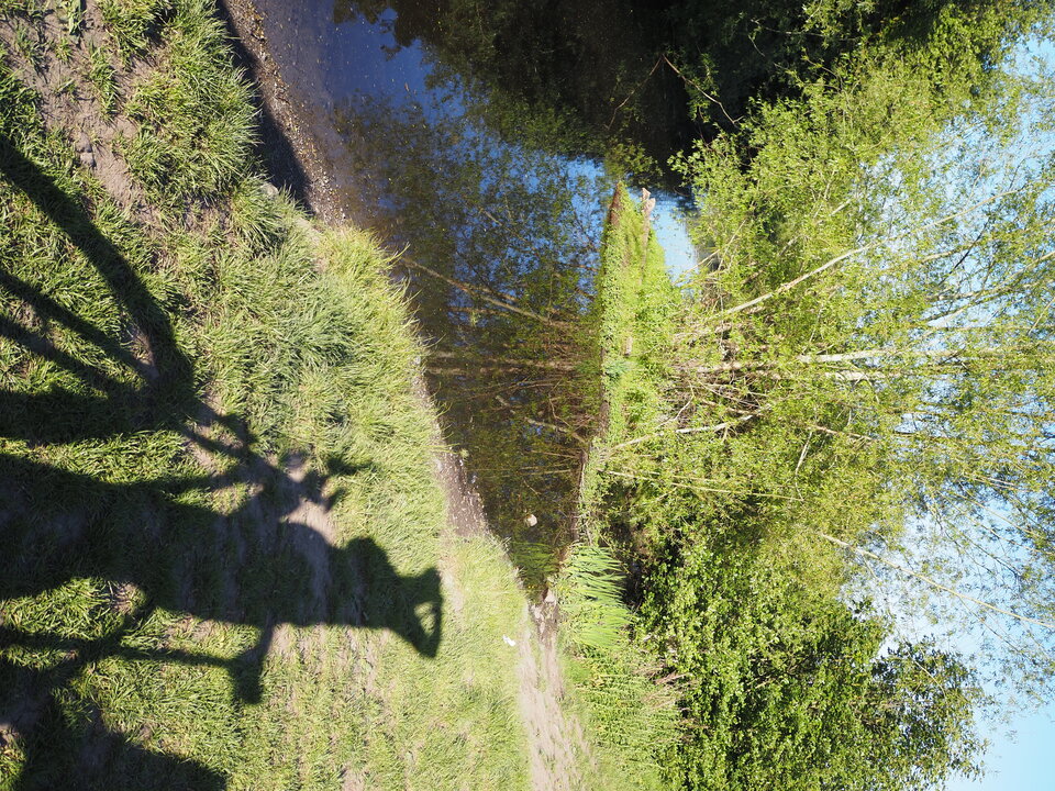 P5170071.JPG - Fotografm