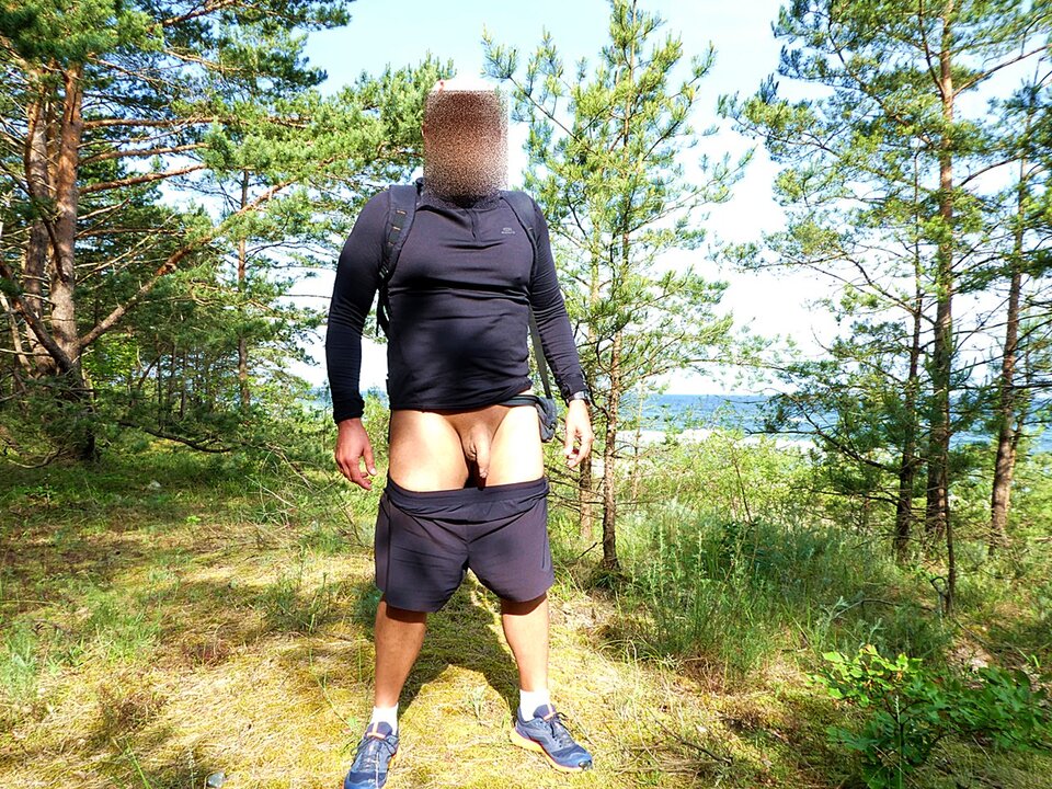 P1060179.JPG - analizator29