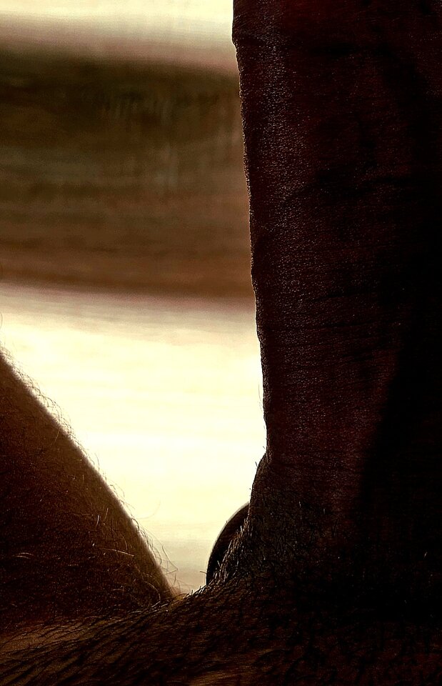 1000029621.jpg - JarekErotoman