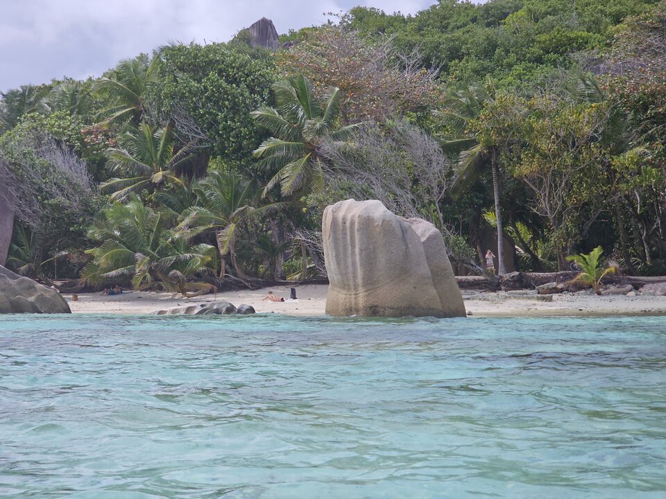 1000034443.jpg - roonin1971