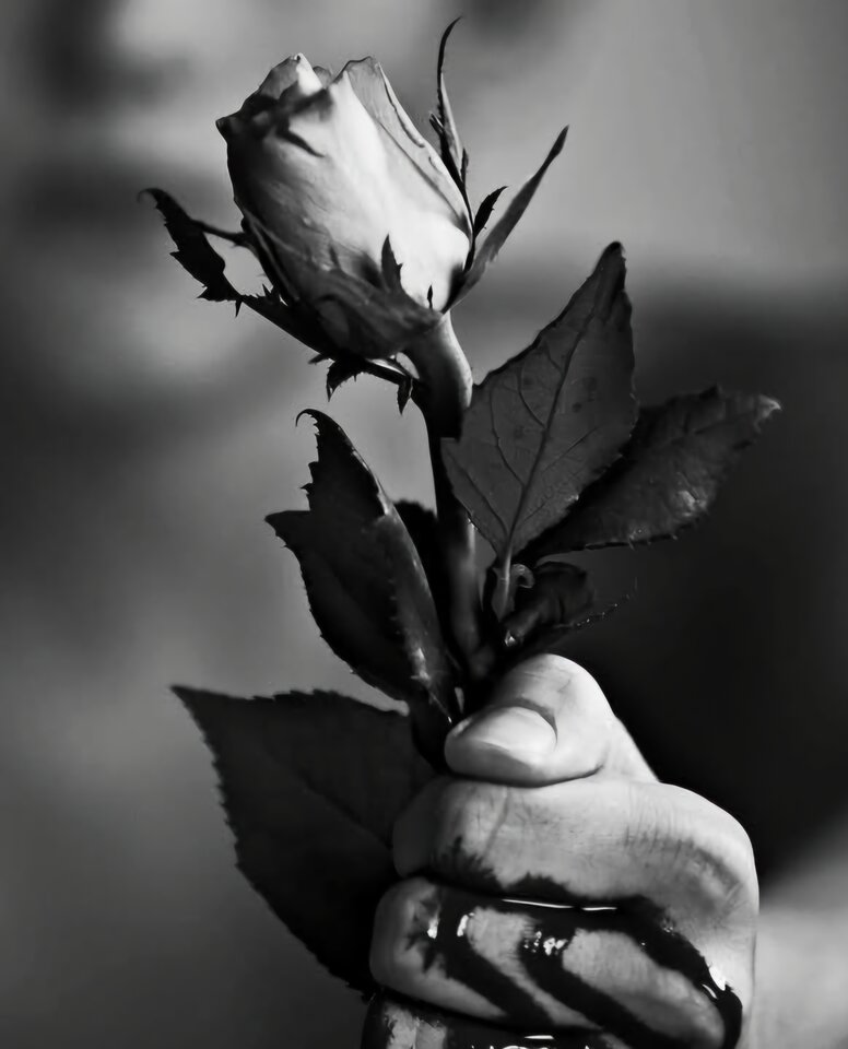 1000007154.jpg - RomantycznyByczek84