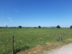 20250503_111847.jpg