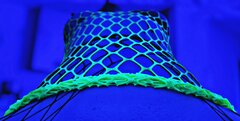 Neon fishnet.jpg