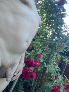 IMG_3715.jpeg