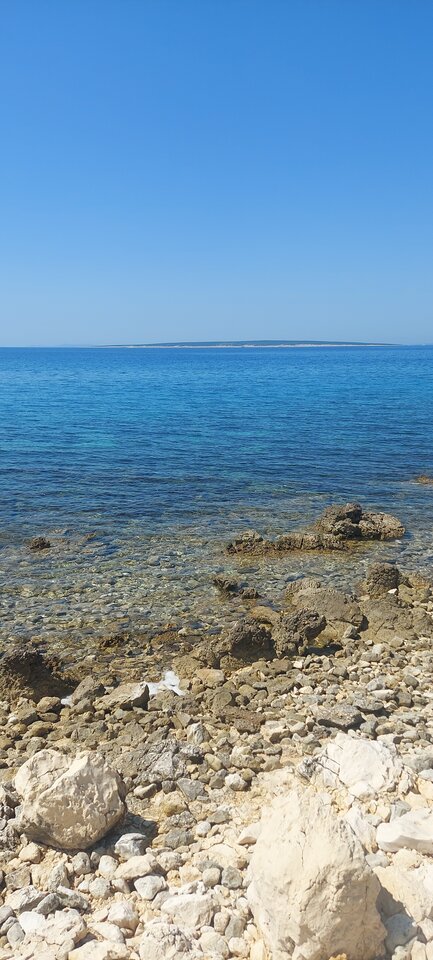 17503233771652617911637521661415.jpg - Paxx