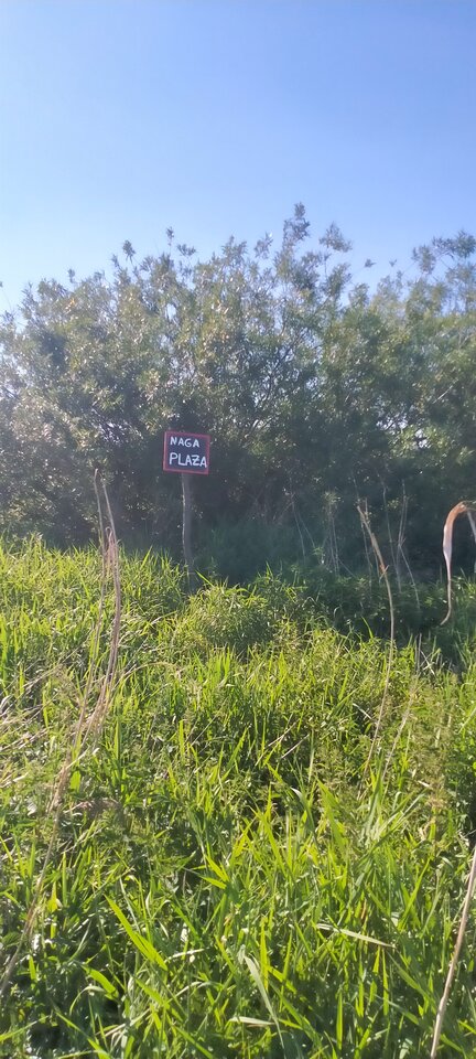 0faf2981-5d4c-410e-ad85-5fca28fcfa69-1_all_494.jpg - Wszolek