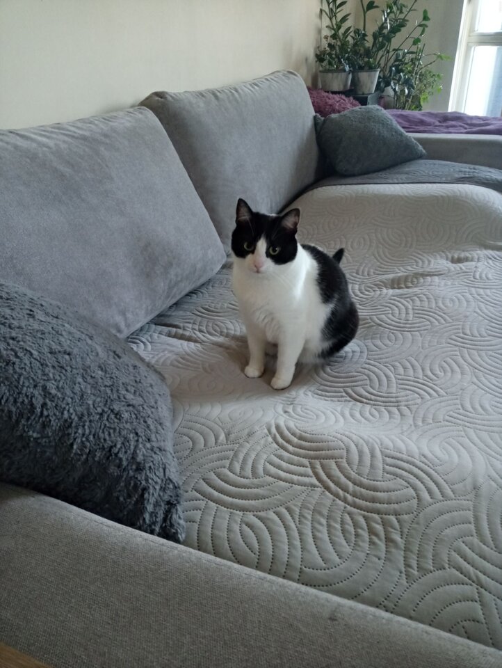 hidden - 2025-06-03T201718.384.jpeg - JaDankaOnWacek