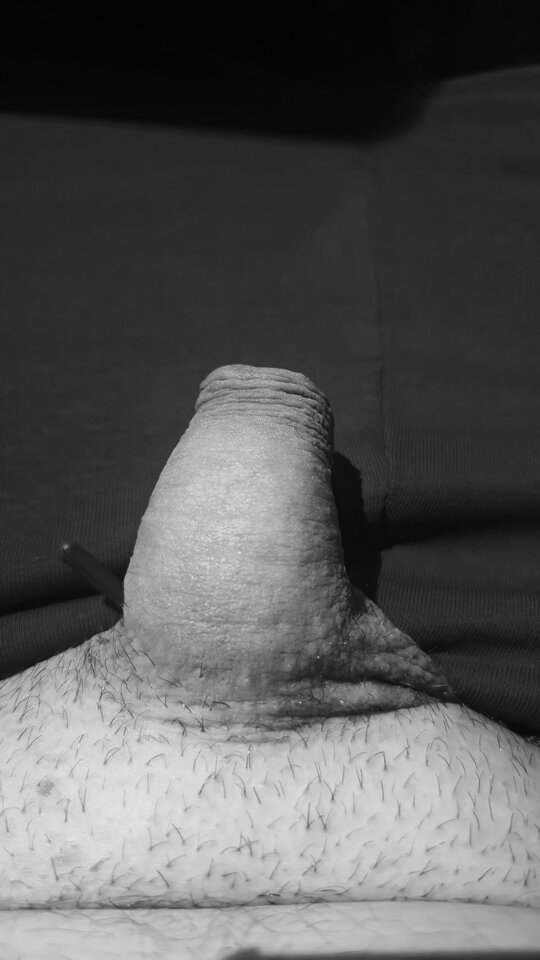 1000001657.jpg - fajnykutasek25