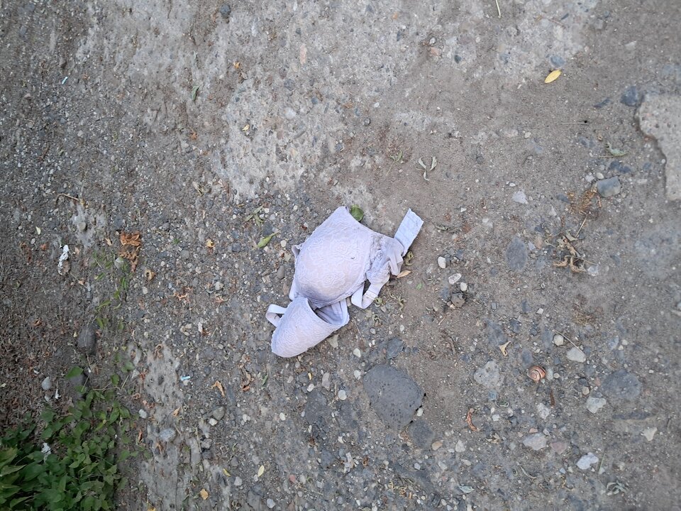 1000008661.jpg - LekkoPogieci