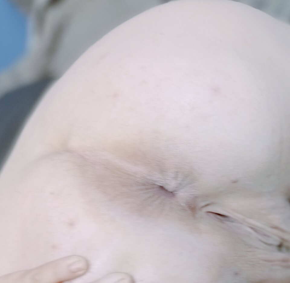 1000006485.jpg - Niunka150990