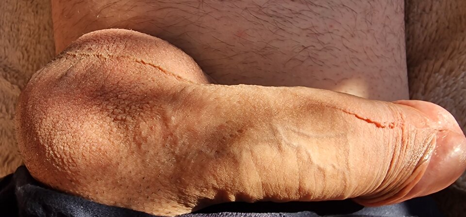 17503936723768473149276708805197.jpg - robin266