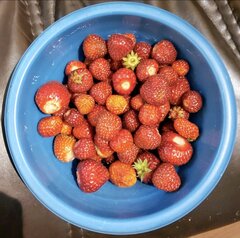 Nie samą golizną człowiek żyje  :)