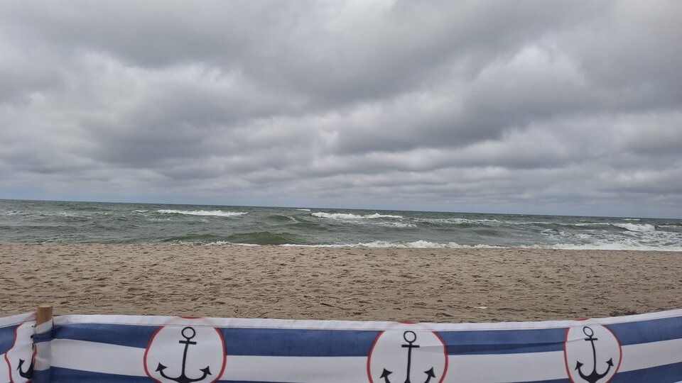 1000037863.jpg - Solbi