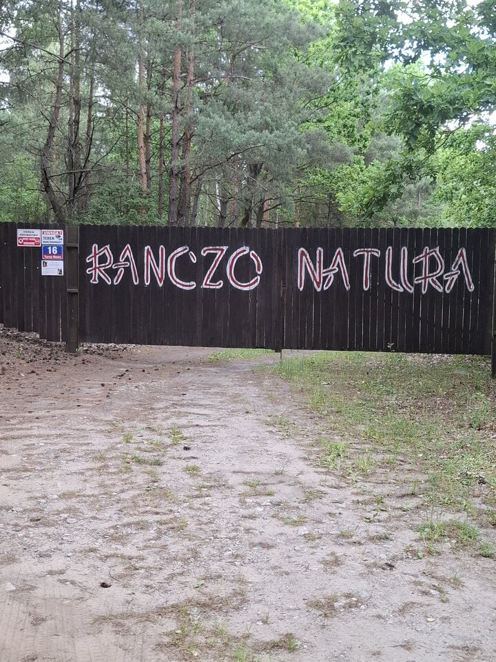 1000006582.jpg - gaw50