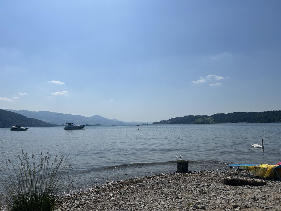 IMG_0028.jpeg - Nemo19799