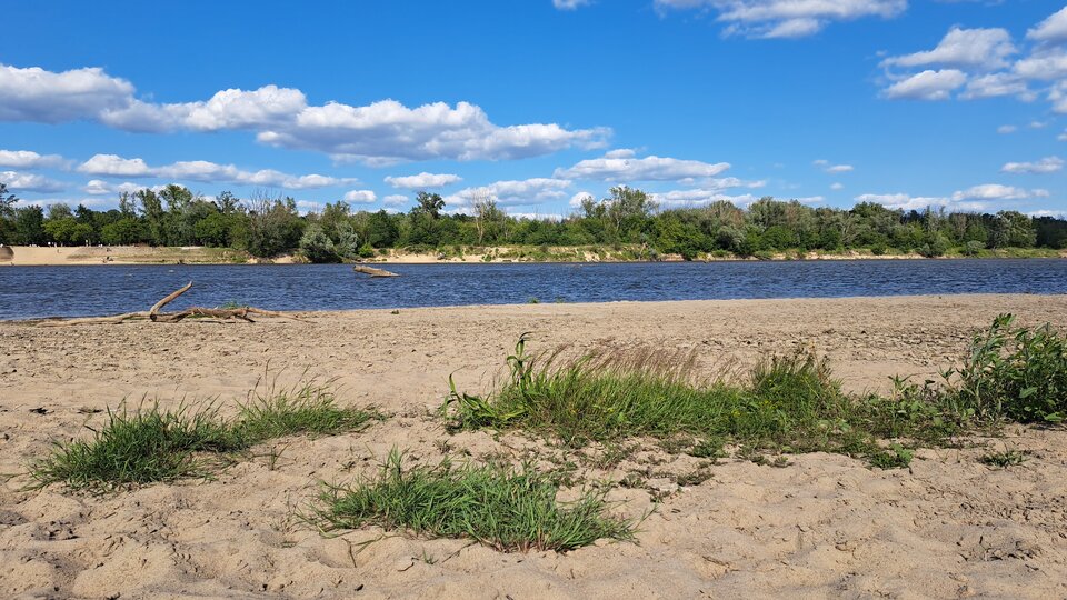 1000025048.jpg - AndWawa1990