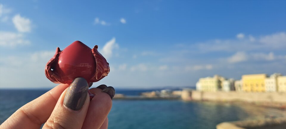 Pumo Pugliese.jpg - Agenak