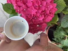 IMG_3818.jpeg