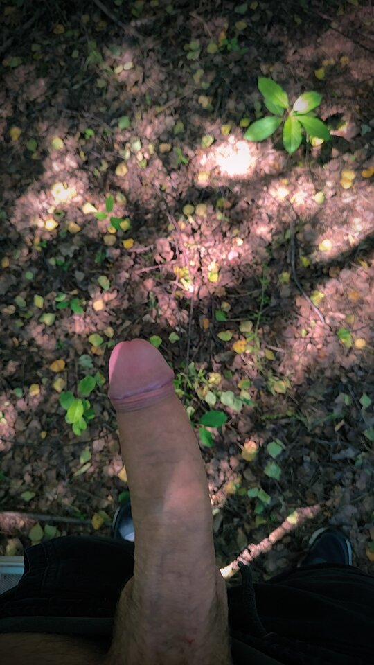 1000012405.jpg - Mlodybi696