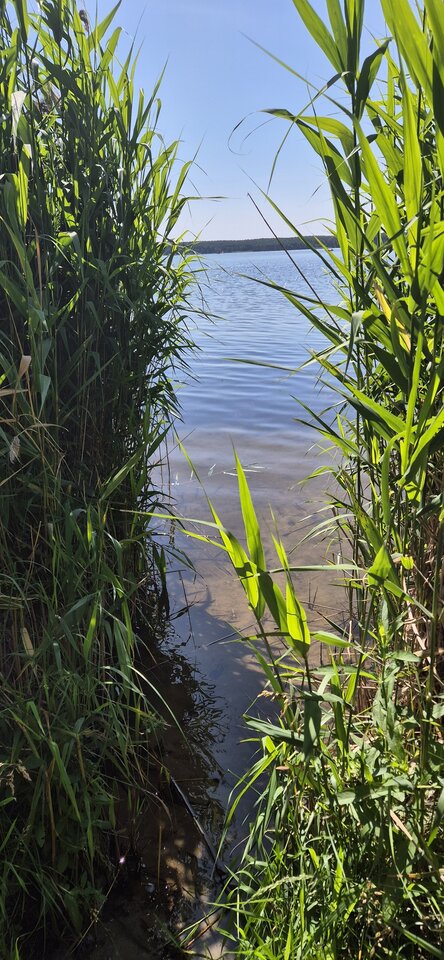 1000023474.jpg - BezpanskaS