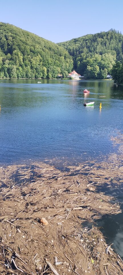 1000008447.jpg - LucyintheSkywithDiamond