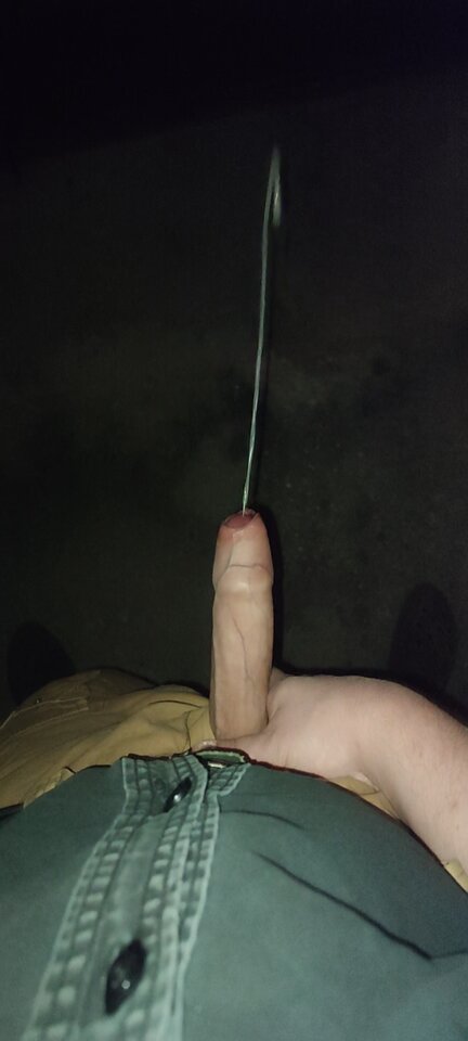 Nocnystrzal.jpg - dziobak_