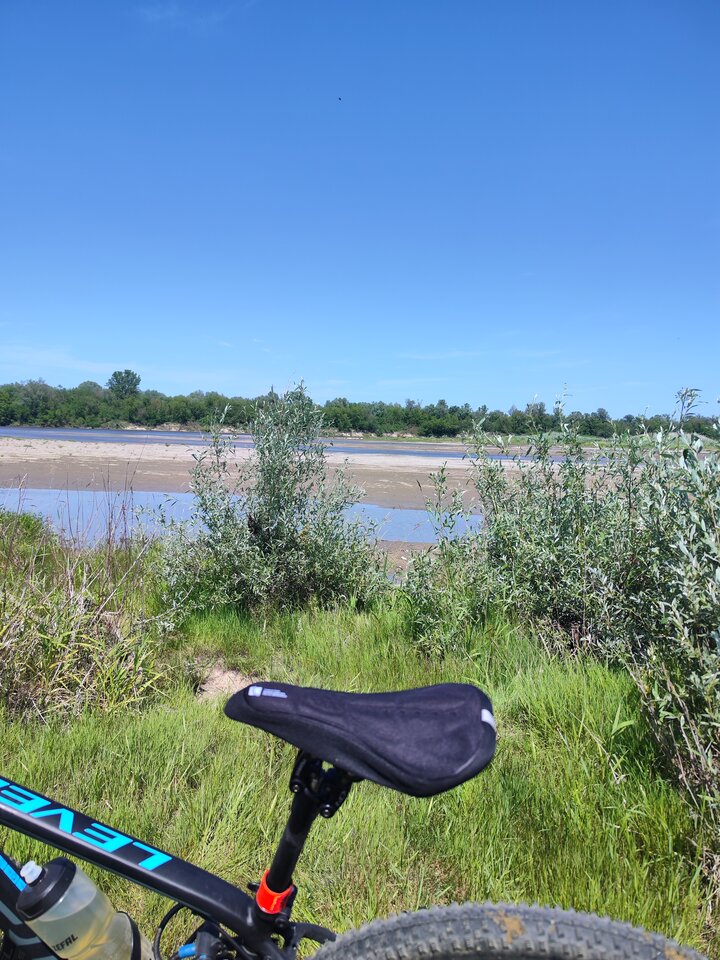 2025-06-2114.08.062985910740041551087.jpg - tom6970