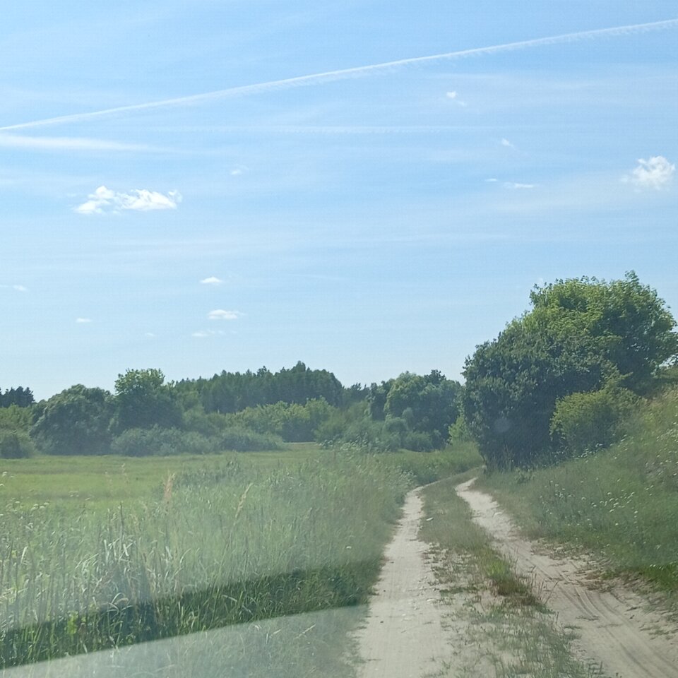 1000003679.jpg - Wszolek