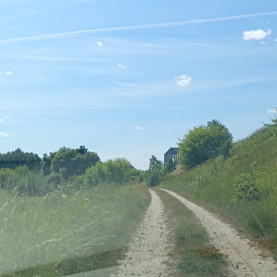 1000003680.jpg - Wszolek